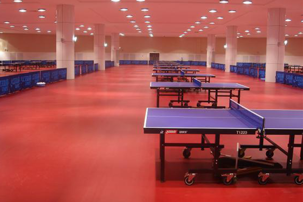 Stilex Flooring India Sports